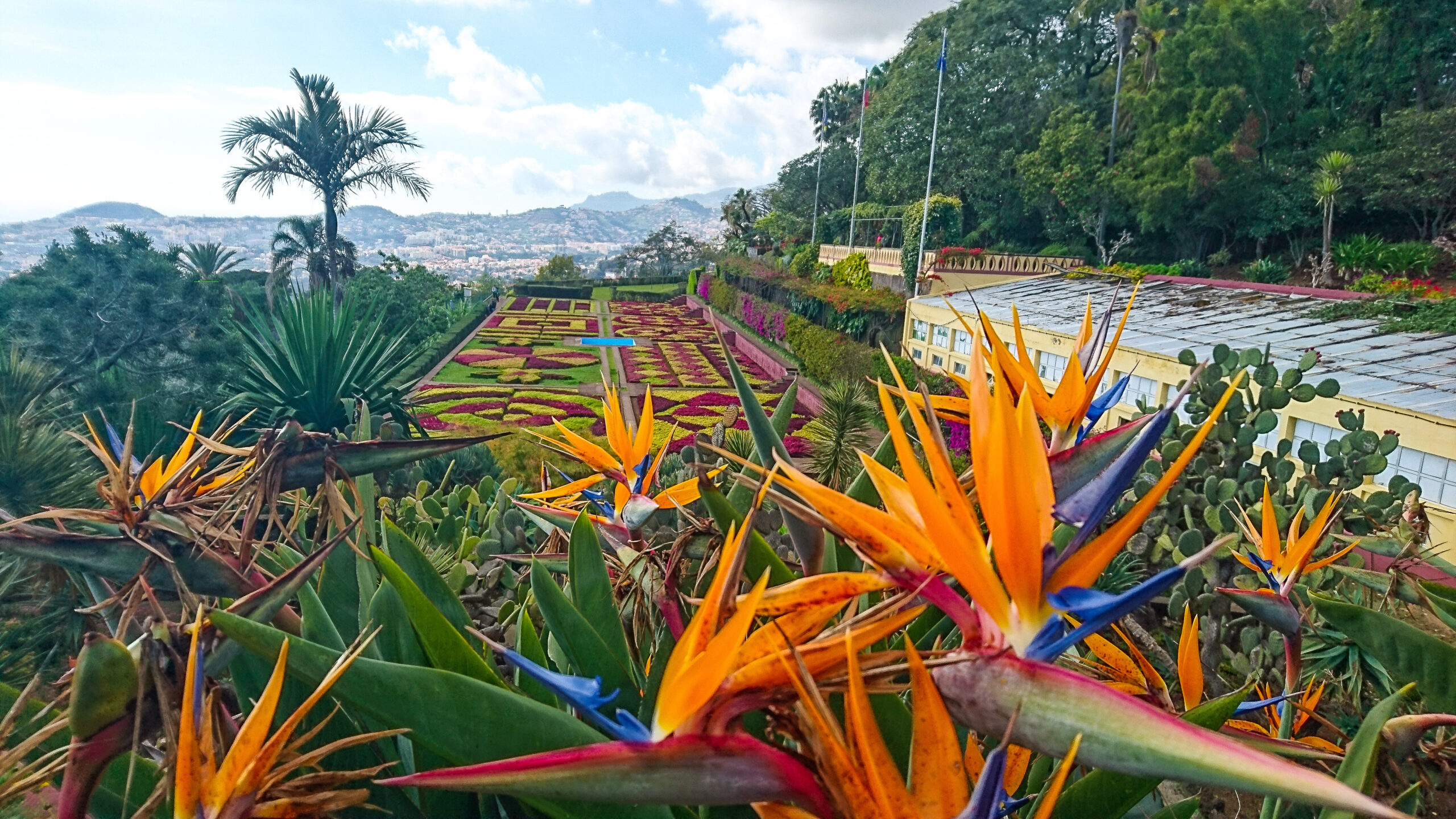 2 Funchal Botanischer Garten © shutterstock, Roman Plesky _669946804
