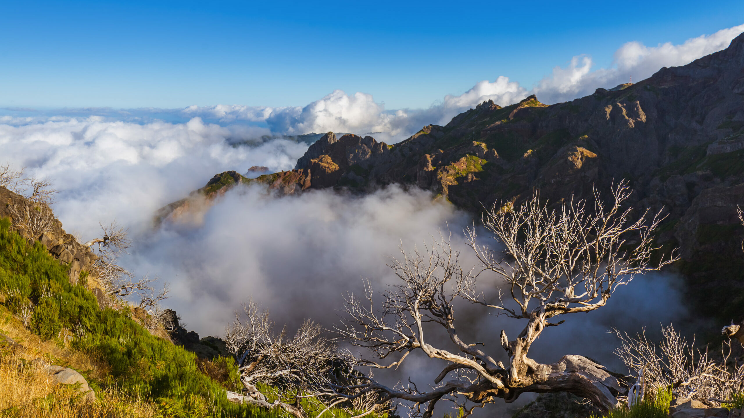 3 Pico Ruivo © shutterstock, Tatiana Popova _562271242