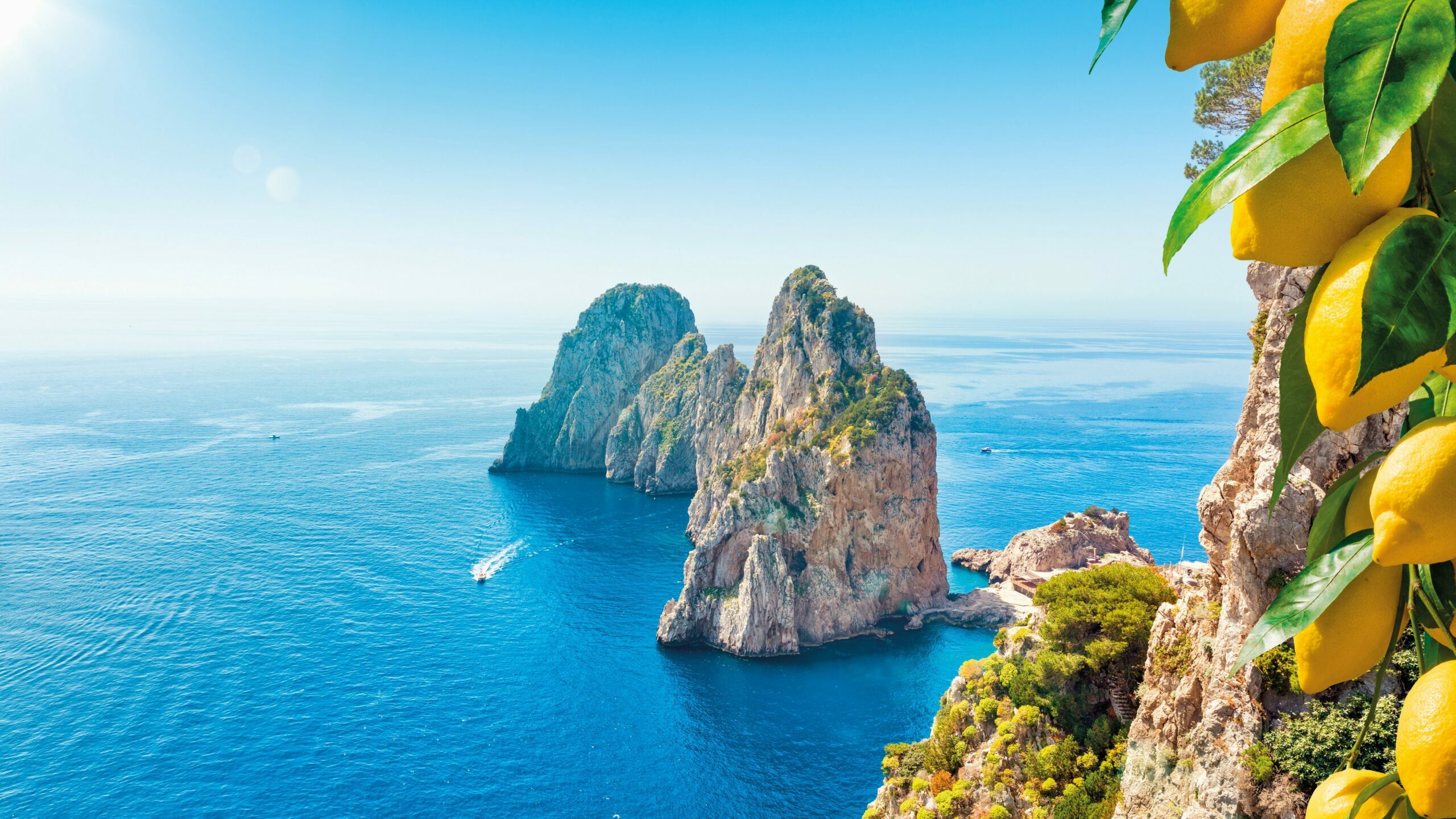 AdobeStock_269680370_Capri